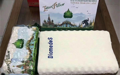 D牌純進(jìn)口乳膠枕頭