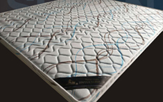 金悅護(hù)脊型-C